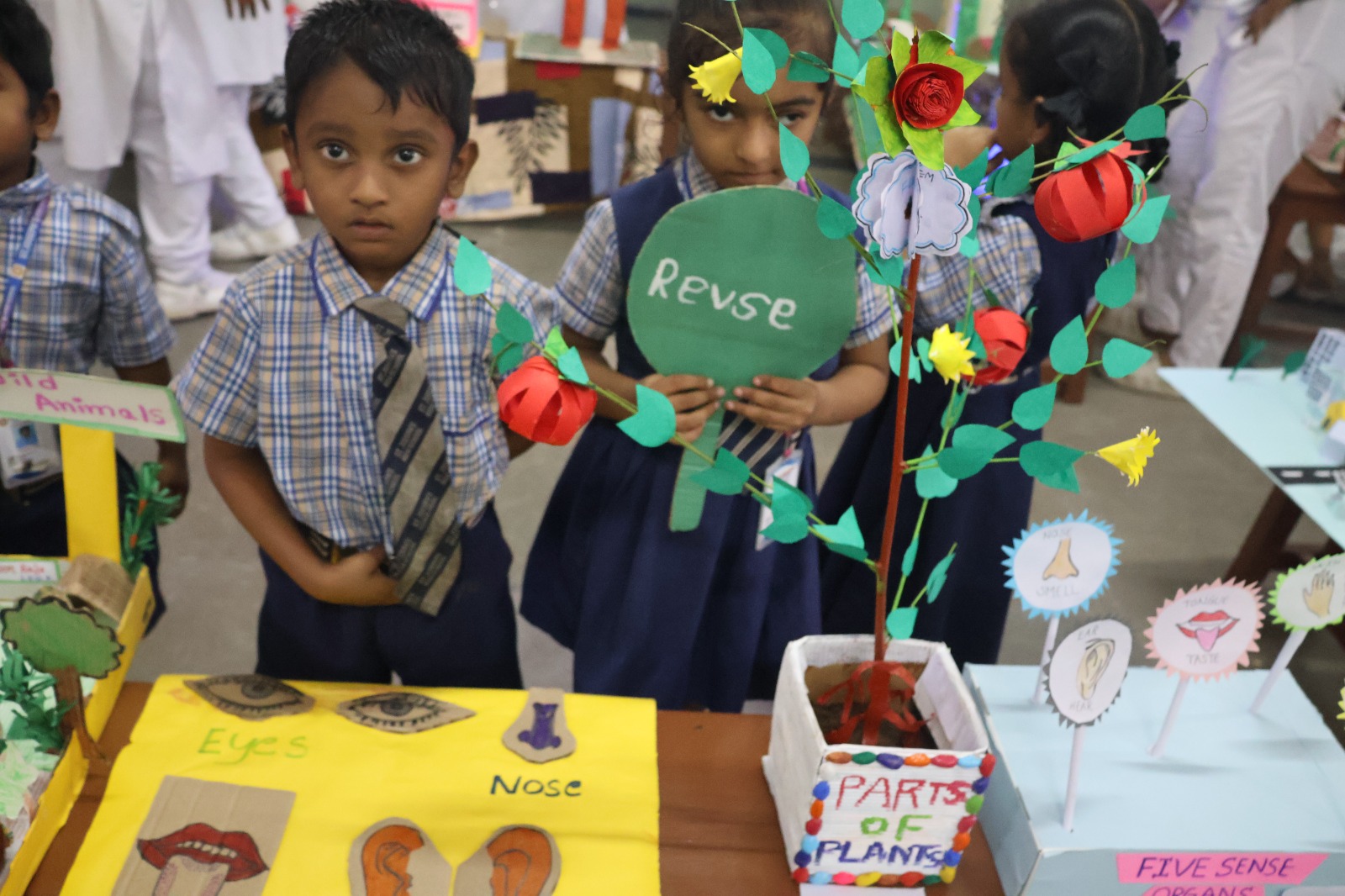 stjoseph_admin/gallery_images/WhatsApp Image 2026-02-27 at 9.55.50 AM (1).jpeg